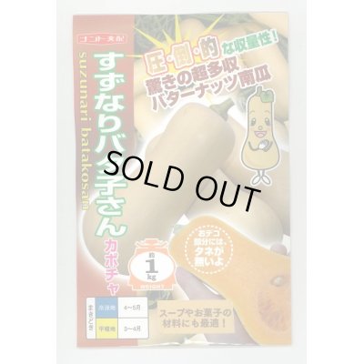 画像1: 送料無料　[かぼちゃ]　すずなりバタ子さん　100粒　ナント種苗(株)