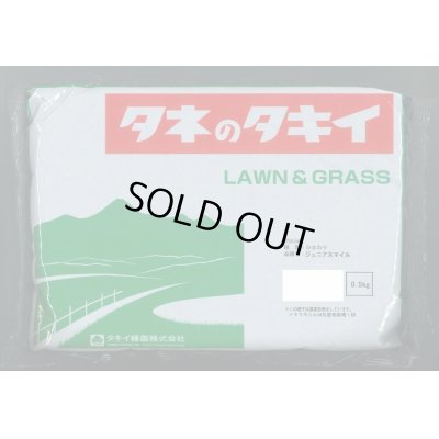 画像1: [景観形成作物]　ひまわり　ジュニアスマイル　500g　タキイ種苗