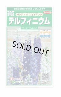 送料無料　花の種　デルフィニウム　パシフィックジャイアント　約30粒　(株)サカタのタネ　実咲350（026257）