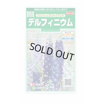 画像1: 送料無料　花の種　デルフィニウム　パシフィックジャイアント　約30粒　(株)サカタのタネ　実咲350（026257）