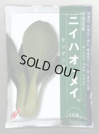 送料無料　[中国野菜]　チンゲンサイ　ニイハオ・メイ　5万粒　渡辺農事