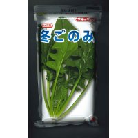 [ほうれんそう]　冬ごのみ　1L　タキイ種苗(株)