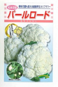 送料無料　[カリフラワー]　パールロード　約80粒　松永種苗(株)