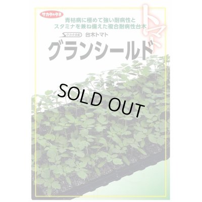 画像2: 送料無料　[台木/トマト用]　グランシールド　50粒　(株)サカタのタネ