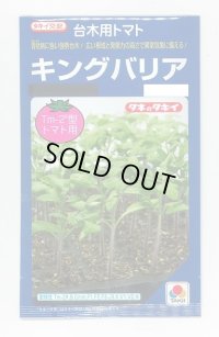 送料無料　[台木/トマト用]　キングバリア　50粒　タキイ種苗(株)