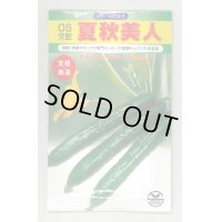 送料無料　[キュウリ]　夏秋美人　400粒　埼玉原種育成会