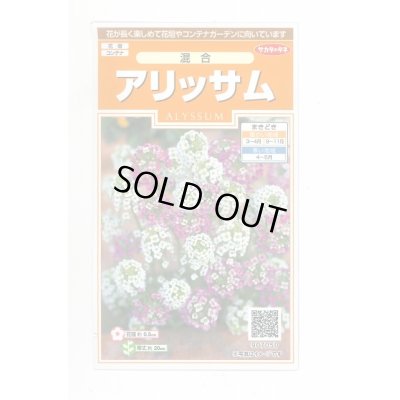 画像1: 送料無料　花の種　アリッサム　混合　約300粒　（株）サカタのタネ　実咲200（026308）