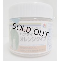 送料無料　[白菜]　オレンジクイン　ペレット　5000粒タキイ種苗(株)