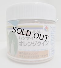 送料無料　[白菜]　オレンジクイン　ペレット　5000粒タキイ種苗(株)