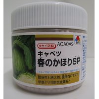 送料無料　[キャベツ]　送料無料　春のかほりSP　ペレット5000粒　タキイ種苗(株)