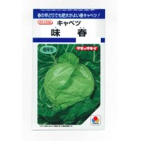 送料無料　キャベツ　味春　1.2ml(約160粒)　タキイ種苗(株)　DF