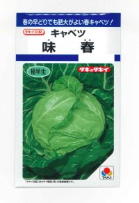 送料無料　キャベツ　味春　1.2ml(約160粒)　タキイ種苗(株)　DF