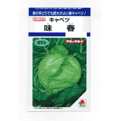 画像1: 送料無料　キャベツ　味春　1.2ml(約160粒)　タキイ種苗(株)　DF