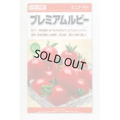 画像1: 送料無料　[トマト/ミニトマト]　プレミアムルビー　100粒　カネコ交配