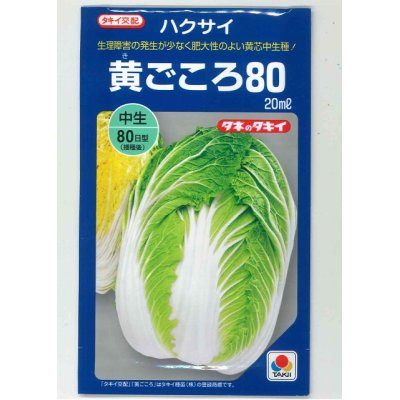 画像1: 送料無料　[白菜]　黄ごころ80　20ml　タキイ種苗(株)