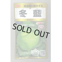 送料無料　[キャベツ]　冬藍　ペレット300粒　(株)サカタのタネ　実咲PRO