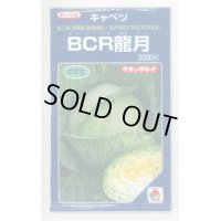 送料無料　[キャベツ]　ＢＣＲ龍月　2000粒　タキイ種苗(株)