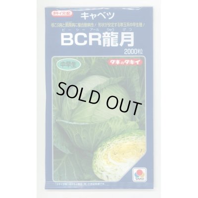 画像1: 送料無料　[キャベツ]　ＢＣＲ龍月　2000粒　タキイ種苗(株)