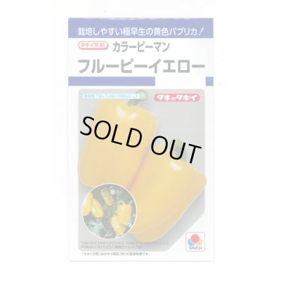 画像1: 送料無料　[ピーマン]　カラーピーマン　フルーピーイエロー　27粒　タキイ種苗(株)　DF