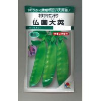 送料無料　[えんどう]　キヌサヤエンドウ　仏国大莢　18ml　タキイ種苗(株)　GF