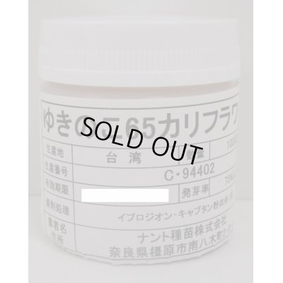 画像1: [カリフラワー]　ゆきのこ65　ペレット1000粒　ナント種苗(株)