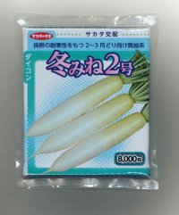 送料無料　大根　冬みね2号　8000粒　(株)サカタのタネ