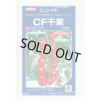 送料無料　[トマト/ミニトマト]　CF千果　1000粒　貴種(コートしてません)　タキイ種苗(株)