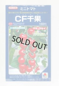 送料無料　[トマト/ミニトマト]　CF千果　1000粒　貴種(コートしてません)　タキイ種苗(株)