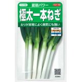 送料無料　[ねぎ]　夏扇パワー　3ml(粒数目安およそ500粒)　(株)サカタのタネ　実咲450（101526）