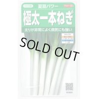 送料無料　[ねぎ]　夏扇パワー　3ml(粒数目安およそ500粒)　(株)サカタのタネ　実咲450（101526）