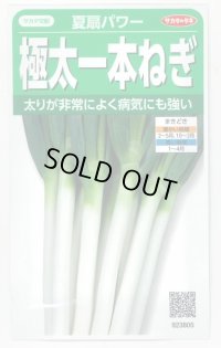 送料無料　[ねぎ]　夏扇パワー　3ml(粒数目安およそ500粒)　(株)サカタのタネ　実咲450（101526）