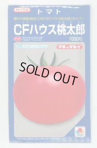 送料無料　[トマト/桃太郎系]　CFハウス桃太郎　1000粒