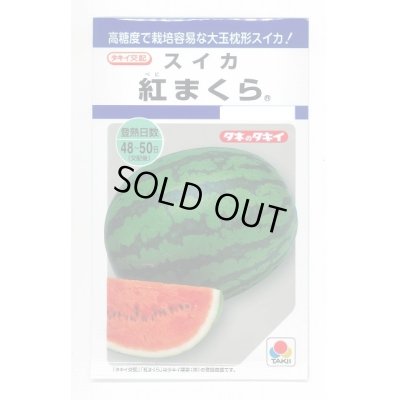 画像1: 送料無料　[スイカ]　大玉スイカ　紅まくら　8粒　タキイ種苗(株)