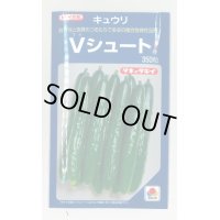 送料無料　[キュウリ]　Ｖシュート　350粒　タキイ種苗(株)