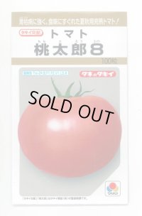 送料無料　[トマト/桃太郎系]　桃太郎8　100粒　タキイ種苗(株)