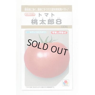 画像1: 送料無料　[トマト/桃太郎系]　桃太郎8　100粒　タキイ種苗(株)