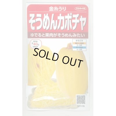 画像1: 送料無料　[かぼちゃ]　そうめんカボチャ　金糸うり　約30粒　(株)サカタのタネ　実咲450（002881）