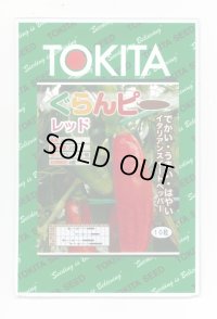 送料無料　[パプリカ]　ぐらんピー　レッド　10粒　トキタ種苗(株)