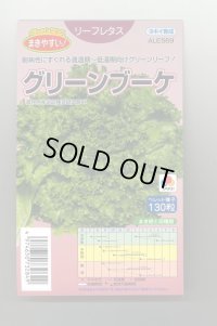 送料無料　[レタス]　グリーンブーケ　ペレット　130粒　タキイ種苗(株)