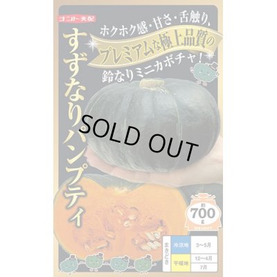 画像1: 送料無料　[かぼちゃ]　すずなりパンプティ　6粒　ナント種苗(株)