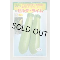 送料無料　[ズッキーニ]　ゼルダ・ライム　100粒　トキタ種苗(株)