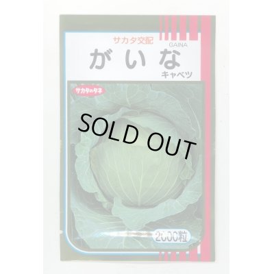 画像1: 送料無料　[キャベツ]　がいな　2000粒　（株）サカタのタネ