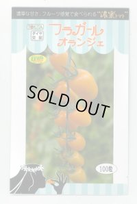 送料無料　トマト種　フラガール　オランジェ　100粒