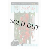 送料無料　[トマト/ミニトマト]　フラガール　100粒　トキタ種苗(株)