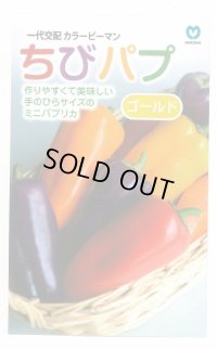 送料無料　[パプリカ]　ちびパプ　ゴールド　5粒　丸種(株)