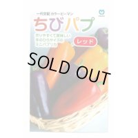 送料無料　[パプリカ]　ちびパプ　レッド　5粒　丸種(株)