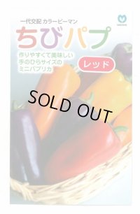 送料無料　[パプリカ]　ちびパプ　レッド　5粒　丸種(株)