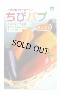 送料無料　[パプリカ]　ちびパプ　オレンジ　5粒　丸種(株)