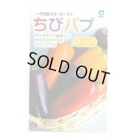 送料無料　[パプリカ]　ちびパプ　ゴールド　100粒　丸種(株)