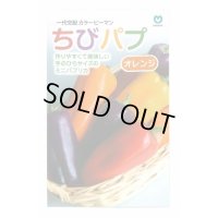 送料無料　[パプリカ]　ちびパプ　オレンジ　100粒　丸種(株)